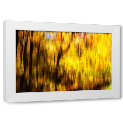Autumn Impressions II White Modern Wood Framed Art Print by Hausenflock, Alan