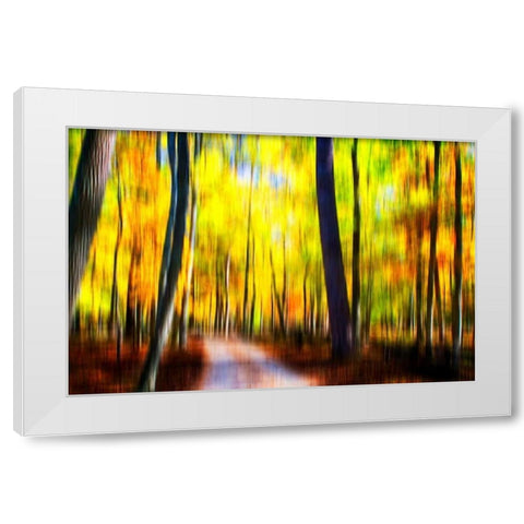 Autumn Impressions III White Modern Wood Framed Art Print by Hausenflock, Alan