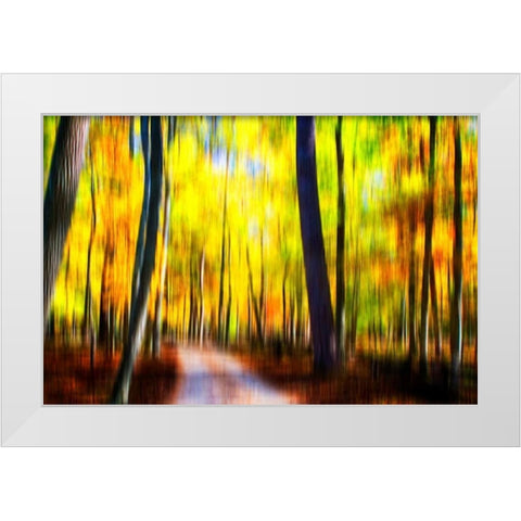 Autumn Impressions III White Modern Wood Framed Art Print by Hausenflock, Alan