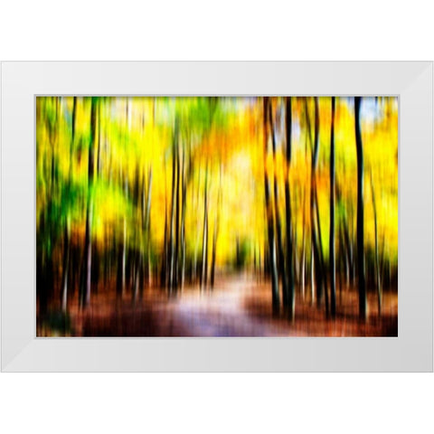 Autumn Impressions IV White Modern Wood Framed Art Print by Hausenflock, Alan