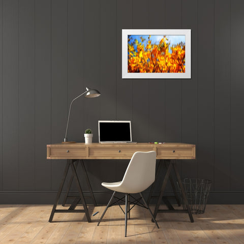 Autumn Impressions VI White Modern Wood Framed Art Print by Hausenflock, Alan