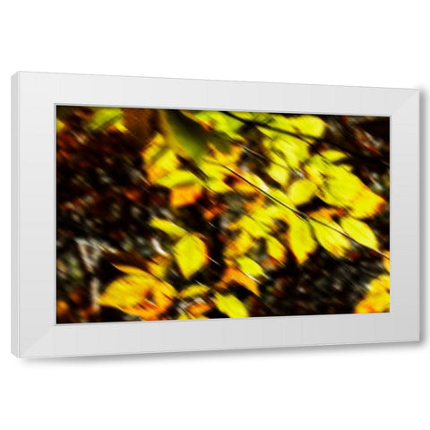 Autumn Impressions VII White Modern Wood Framed Art Print by Hausenflock, Alan