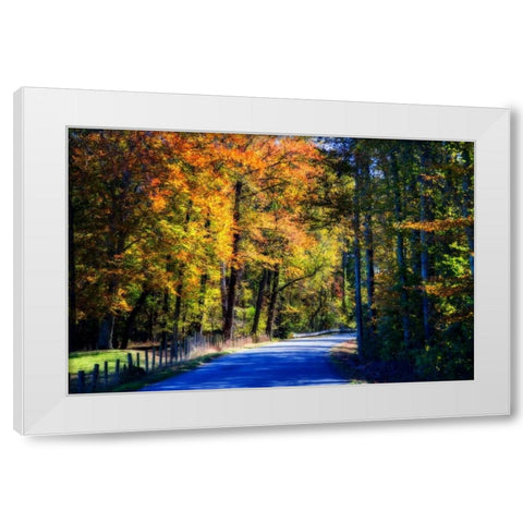 Twisting Autumn Road II White Modern Wood Framed Art Print by Hausenflock, Alan