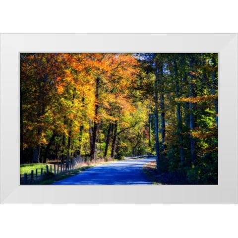 Twisting Autumn Road II White Modern Wood Framed Art Print by Hausenflock, Alan