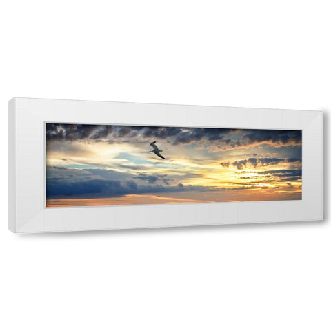 Gull Above the Sea I White Modern Wood Framed Art Print by Hausenflock, Alan