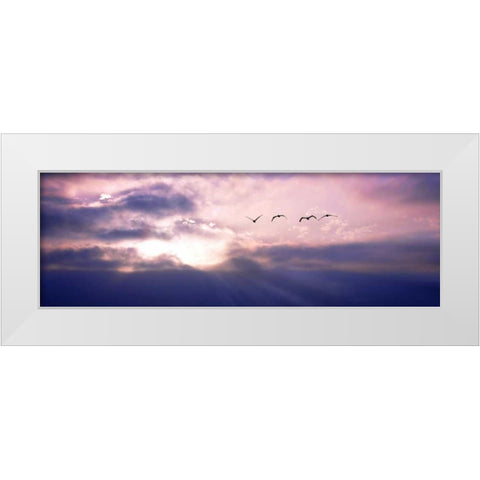 Pelicans Above the Bay White Modern Wood Framed Art Print by Hausenflock, Alan