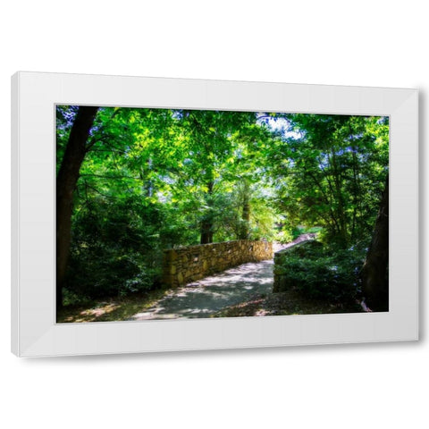 Shaded Bridge I White Modern Wood Framed Art Print by Hausenflock, Alan