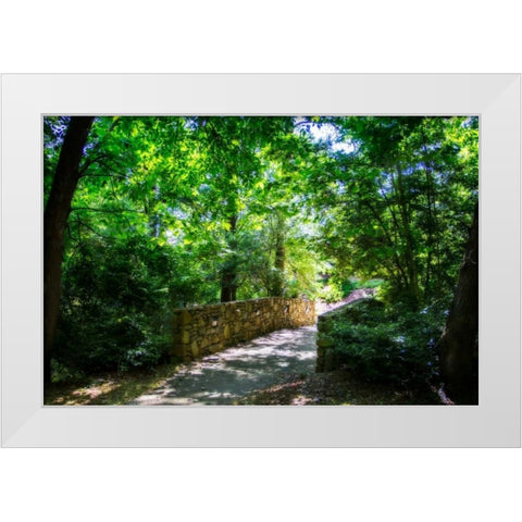 Shaded Bridge I White Modern Wood Framed Art Print by Hausenflock, Alan