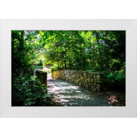 Shaded Bridge II White Modern Wood Framed Art Print by Hausenflock, Alan