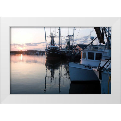 The Fridea Marie I White Modern Wood Framed Art Print by Hausenflock, Alan