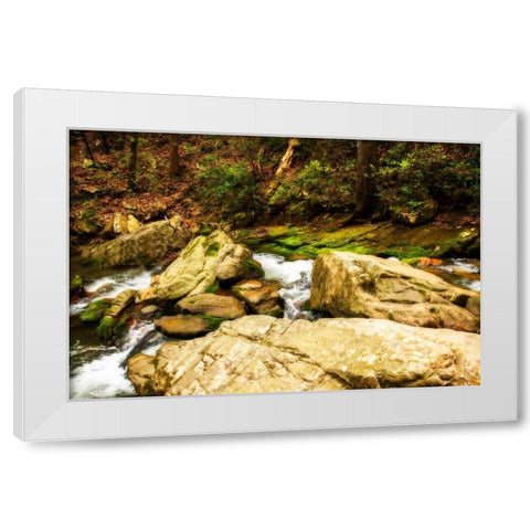 Covington Woods I White Modern Wood Framed Art Print by Hausenflock, Alan