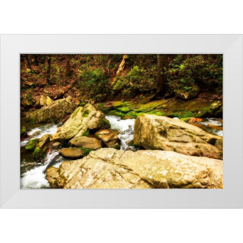 Covington Woods I White Modern Wood Framed Art Print by Hausenflock, Alan