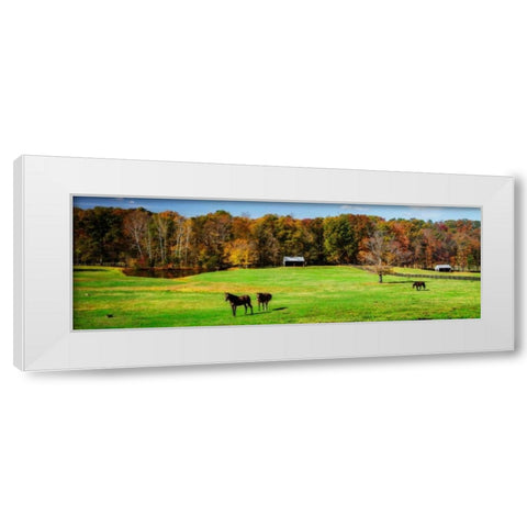 Virginia Horse Farm I White Modern Wood Framed Art Print by Hausenflock, Alan