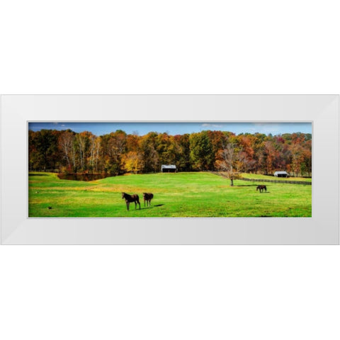 Virginia Horse Farm I White Modern Wood Framed Art Print by Hausenflock, Alan