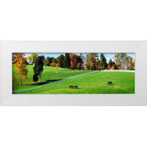 Virginia Horse Farm II White Modern Wood Framed Art Print by Hausenflock, Alan