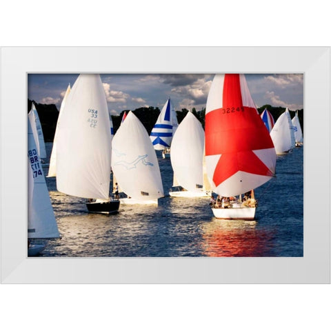 After the Race I White Modern Wood Framed Art Print by Hausenflock, Alan