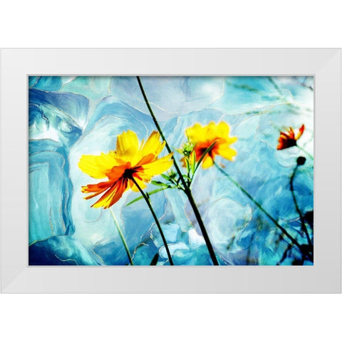 Reaching for the Sun IV White Modern Wood Framed Art Print by Hausenflock, Alan