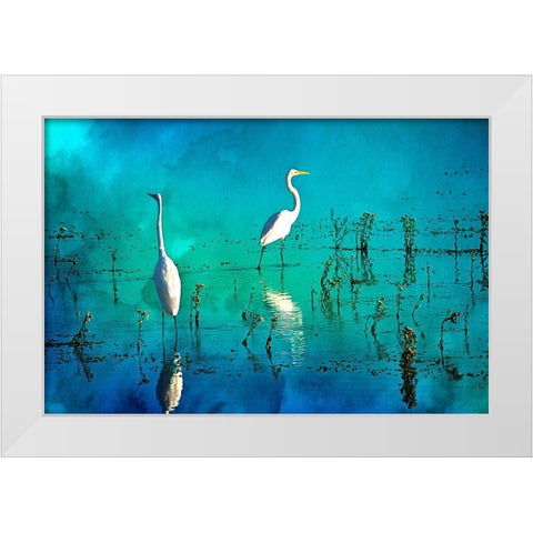 Wading Herons I White Modern Wood Framed Art Print by Hausenflock, Alan