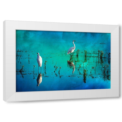 Wading Herons II White Modern Wood Framed Art Print by Hausenflock, Alan