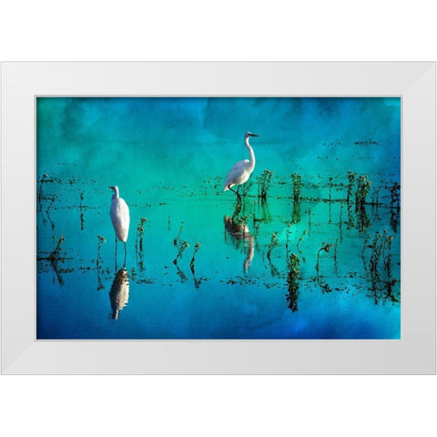 Wading Herons II White Modern Wood Framed Art Print by Hausenflock, Alan