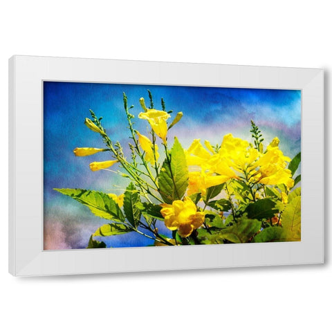 Flowers on Watercolor II White Modern Wood Framed Art Print by Hausenflock, Alan