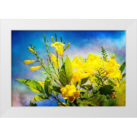 Flowers on Watercolor II White Modern Wood Framed Art Print by Hausenflock, Alan