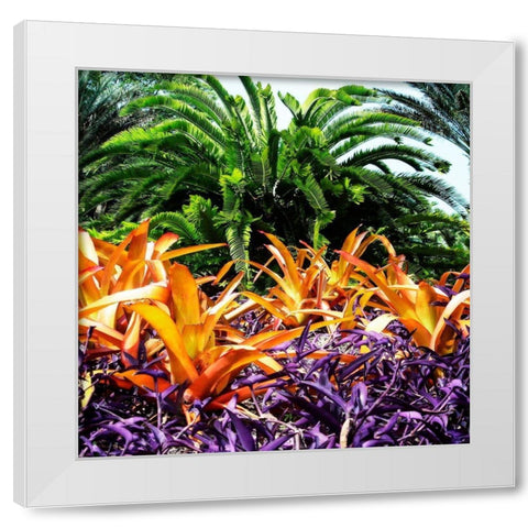 Tropical Garden I White Modern Wood Framed Art Print by Hausenflock, Alan