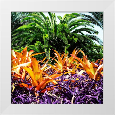 Tropical Garden I White Modern Wood Framed Art Print by Hausenflock, Alan