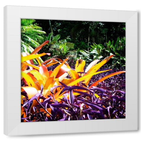 Tropical Garden II White Modern Wood Framed Art Print by Hausenflock, Alan