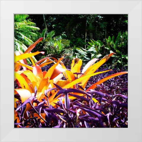 Tropical Garden II White Modern Wood Framed Art Print by Hausenflock, Alan