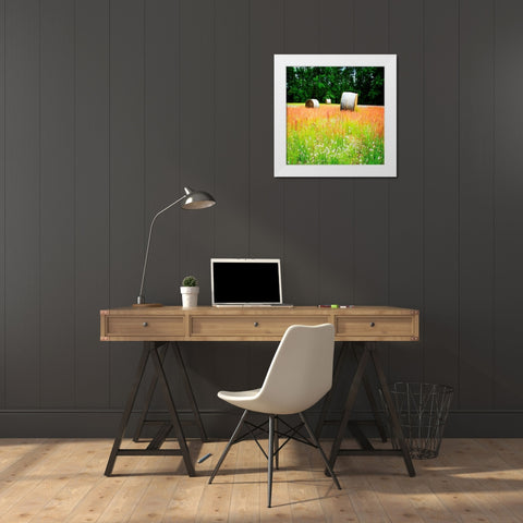 Spring Fields I White Modern Wood Framed Art Print by Hausenflock, Alan