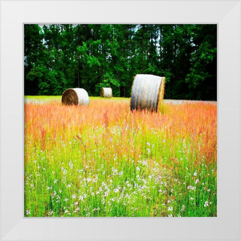 Spring Fields I White Modern Wood Framed Art Print by Hausenflock, Alan