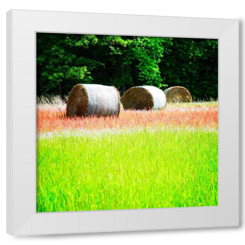 Spring Fields II White Modern Wood Framed Art Print by Hausenflock, Alan