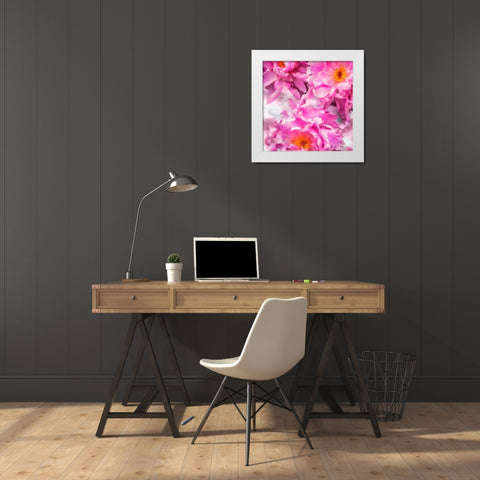 Pink Flowers I White Modern Wood Framed Art Print by Hausenflock, Alan