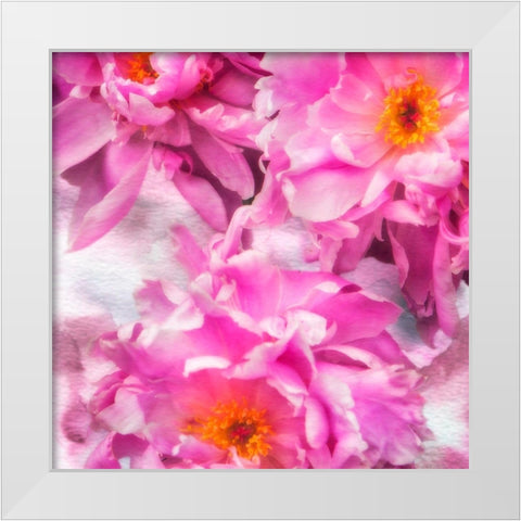 Pink Flowers I White Modern Wood Framed Art Print by Hausenflock, Alan