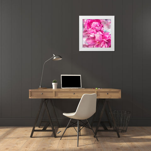 Pink Flowers II White Modern Wood Framed Art Print by Hausenflock, Alan