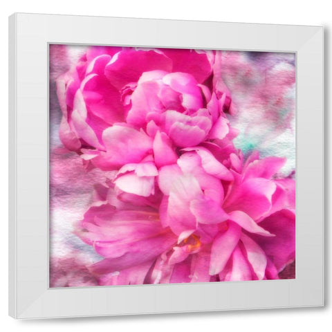 Pink Flowers II White Modern Wood Framed Art Print by Hausenflock, Alan
