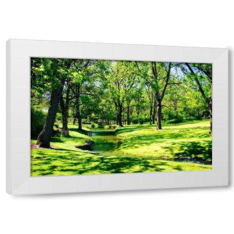 Gentle Stream I White Modern Wood Framed Art Print by Hausenflock, Alan