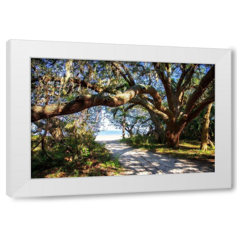 To the Beach White Modern Wood Framed Art Print by Hausenflock, Alan