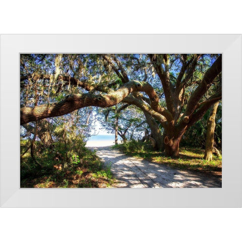 To the Beach White Modern Wood Framed Art Print by Hausenflock, Alan