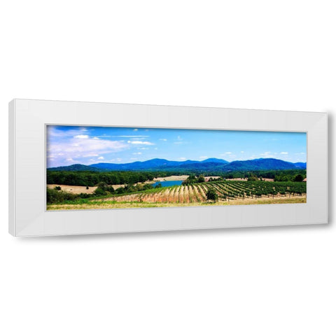 Virginia Vineyards I White Modern Wood Framed Art Print by Hausenflock, Alan