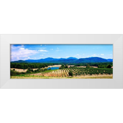 Virginia Vineyards I White Modern Wood Framed Art Print by Hausenflock, Alan