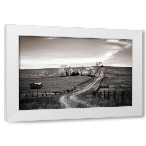 Lonely Road I White Modern Wood Framed Art Print by Hausenflock, Alan