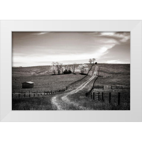 Lonely Road I White Modern Wood Framed Art Print by Hausenflock, Alan