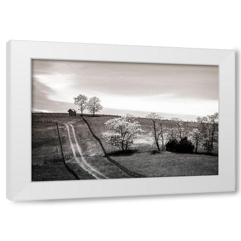 Lonely Road II White Modern Wood Framed Art Print by Hausenflock, Alan