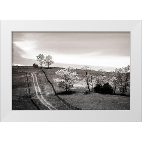 Lonely Road II White Modern Wood Framed Art Print by Hausenflock, Alan