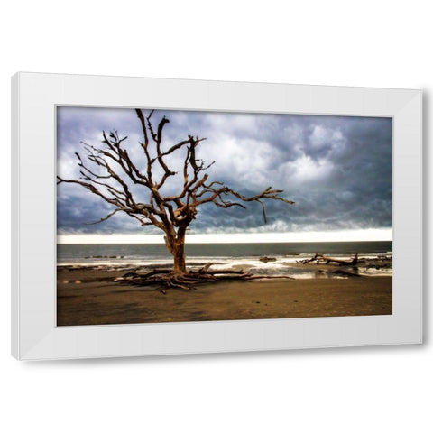 Storm is Coming I White Modern Wood Framed Art Print by Hausenflock, Alan