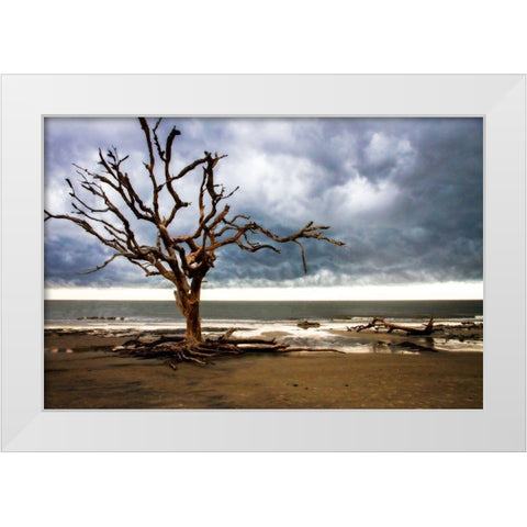 Storm is Coming I White Modern Wood Framed Art Print by Hausenflock, Alan