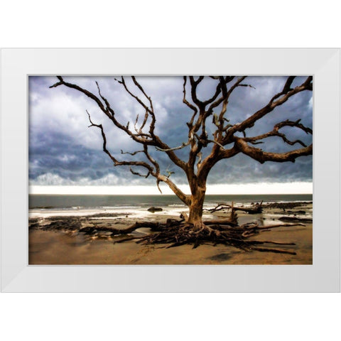 Storm is Coming II White Modern Wood Framed Art Print by Hausenflock, Alan