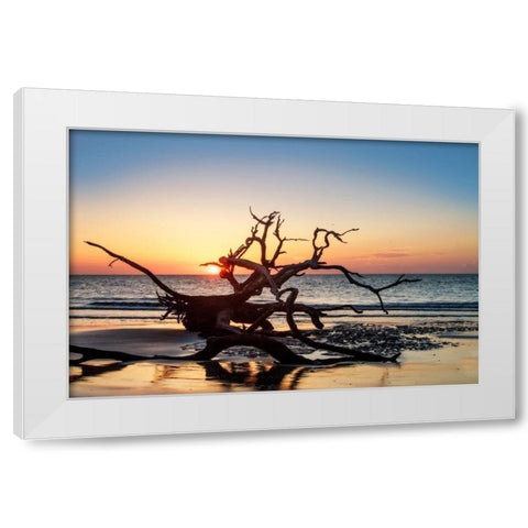 Jekyll Island Sunrise III White Modern Wood Framed Art Print by Hausenflock, Alan